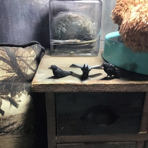 Renee added a photo of their purchase