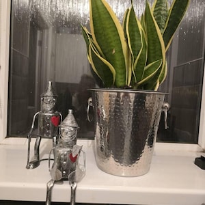 Annie added a photo of their purchase
