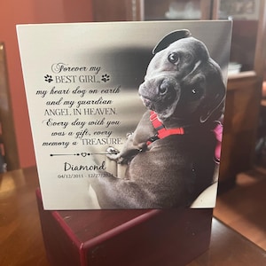 Claudia added a photo of their purchase