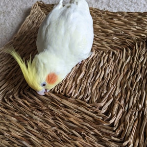 Rebecca added a photo of their purchase