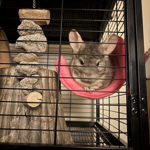 Cheyenne added a photo of their purchase
