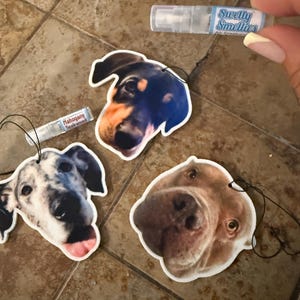 Dolly added a photo of their purchase