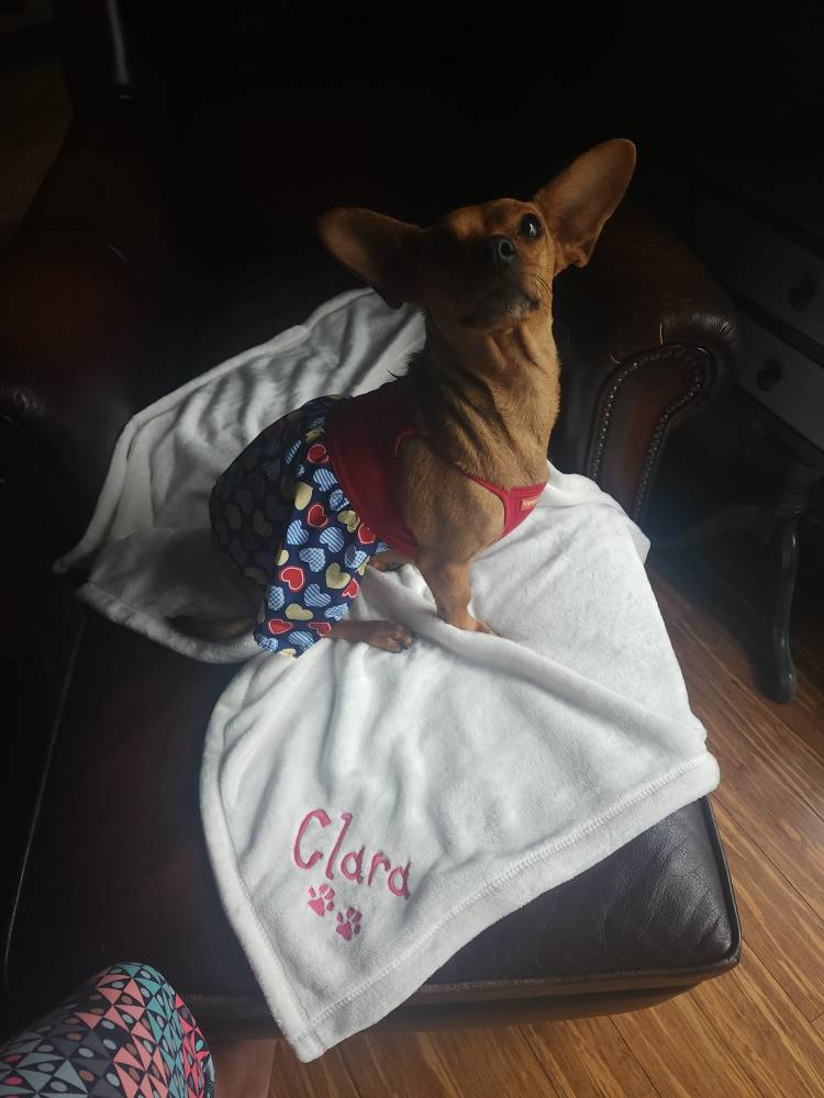 Personalized Soft Blanket for Pet | Blanket with Dogs Name | Blanket with Cats Name Custom Embroidered Blanket for Dog, Cat, with Paw Prints