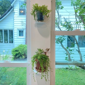 Suzanne added a photo of their purchase
