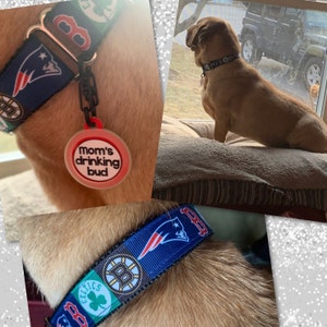 EDELMAN New England Patriots Dog Collar 