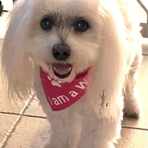 Judy added a photo of their purchase