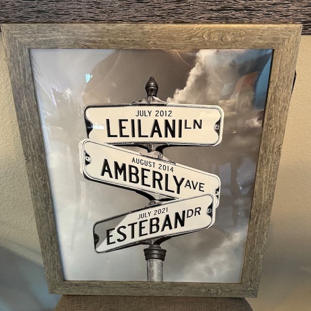 Personalised Novelty Street Signs