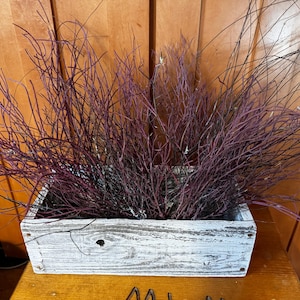 Teresa added a photo of their purchase