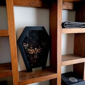 Macario a ajouté une photo de son achat