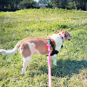 Stephanie added a photo of their purchase