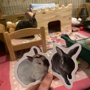 Lex added a photo of their purchase