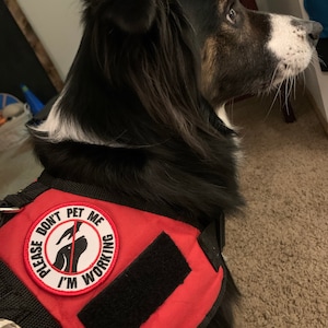Josie ha añadido una foto de su compra