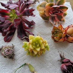 Christine added a photo of their purchase