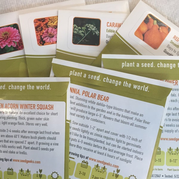 Red Kuri Japanese Winter Squash Heirloom Seeds - Etsy