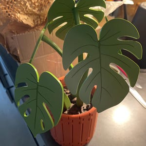 Jessi hat ein Foto des gekauften Artikels hinzugefügt