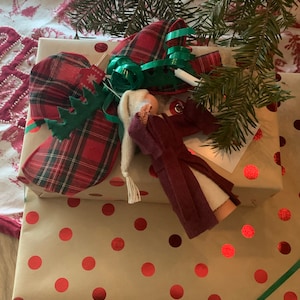 Molly ha aggiunto una foto del proprio acquisto