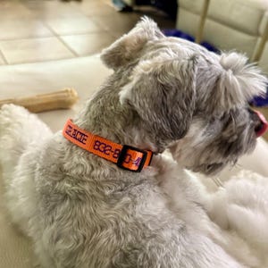 Colleen added a photo of their purchase
