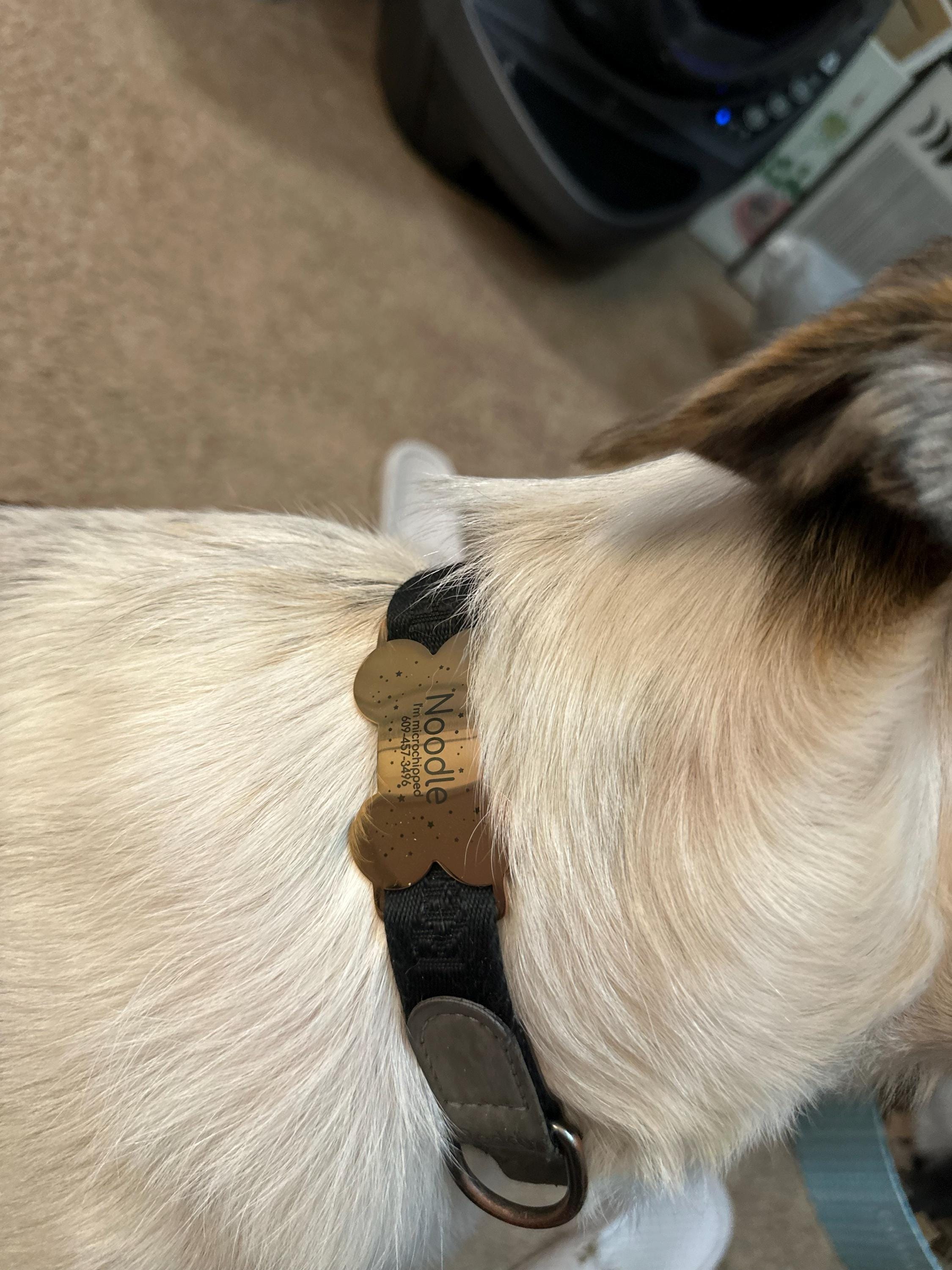 Silent dog tag personalized,Slide on dog tag,Dog Tags For Dogs,Custom Dog Name Tag,Engraved Pet ID Tag,Dog Tag Collar,Cat Tag,Puppy Tag