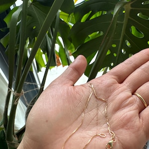 Avegail ha añadido una foto de su compra