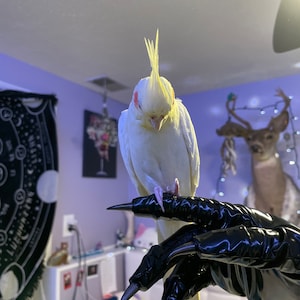 Marie added a photo of their purchase