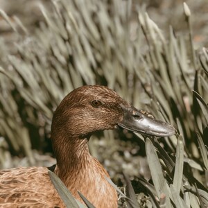 Emma added a photo of their purchase