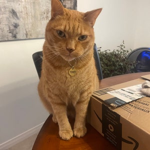 Etsy buyer added a photo of their purchase