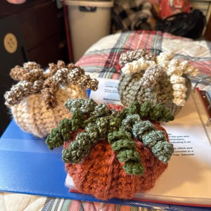 Lanesa added a photo of their purchase