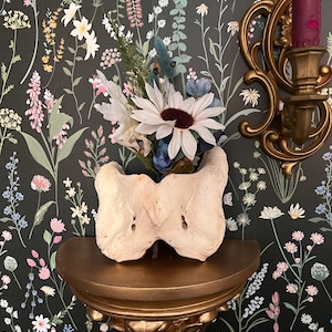 Kate さんが購入した商品の写真を追加しました