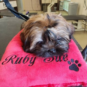 dog grooming pillow