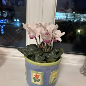 Sandra added a photo of their purchase