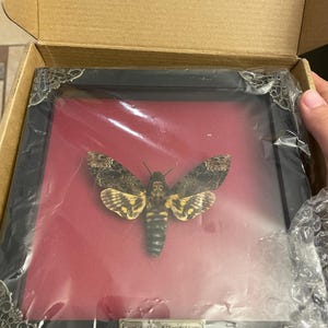 Axel ha añadido una foto de su compra