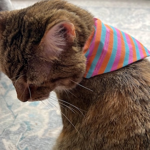 Bernadine added a photo of their purchase