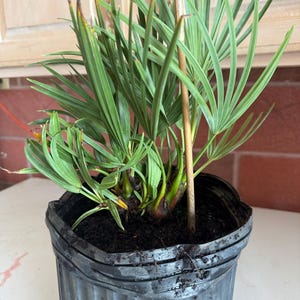 Colby a ajouté une photo de son achat