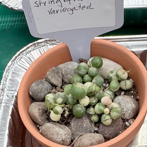 Barbara added a photo of their purchase