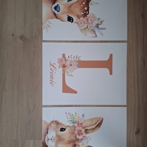 Sandy a ajouté une photo de son achat