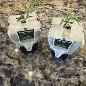 Jody added a photo of their purchase