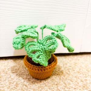 Laurie added a photo of their purchase