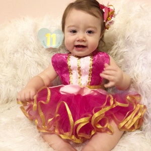 sleeping beauty infant costume