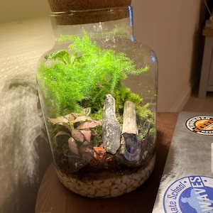 Lisa added a photo of their purchase