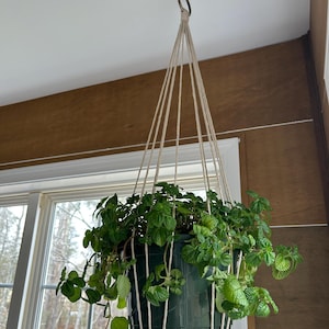 Nicole added a photo of their purchase