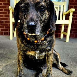 Gretchen added a photo of their purchase