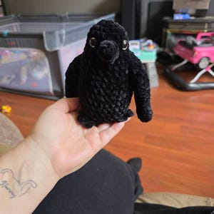 Shana added a photo of their purchase