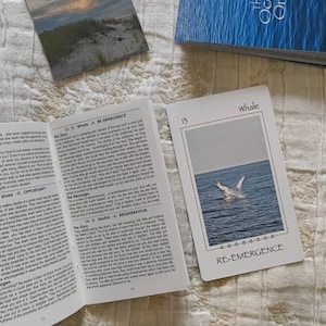 Lyubomira ha añadido una foto de su compra