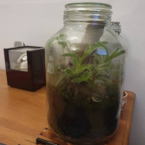 Rupert added a photo of their purchase