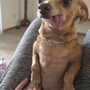 Atypical adicionaram uma foto da sua compra