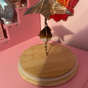 Giesurr added a photo of their purchase