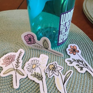 Minerva added a photo of their purchase