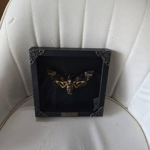 Kara ha añadido una foto de su compra