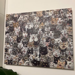 Crazycatlady added a photo of their purchase