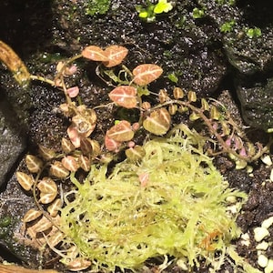 Clayton added a photo of their purchase